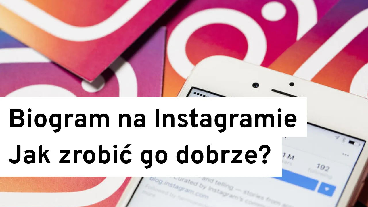 Biogram na Instagramie