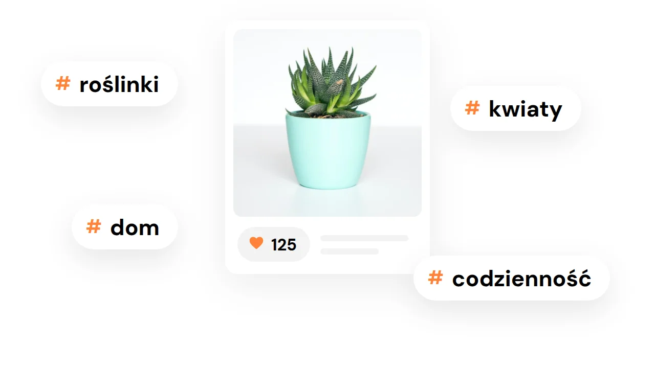Post na Instagramie z hashtagami roślinki, dom, kwiaty i codzienność